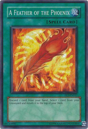 A Feather of the Phoenix