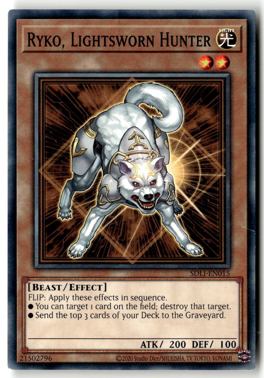 Ryko, Lightsworn Hunter