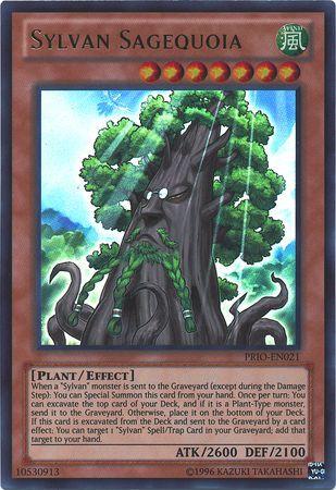 Sylvan Sagequoia